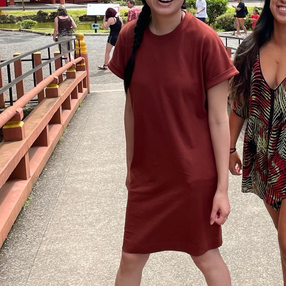 Frank and Oak Good Cotton Tee Dress in Brandy Rust Color and Size Small
